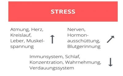 Was ist eigentlich Stress?