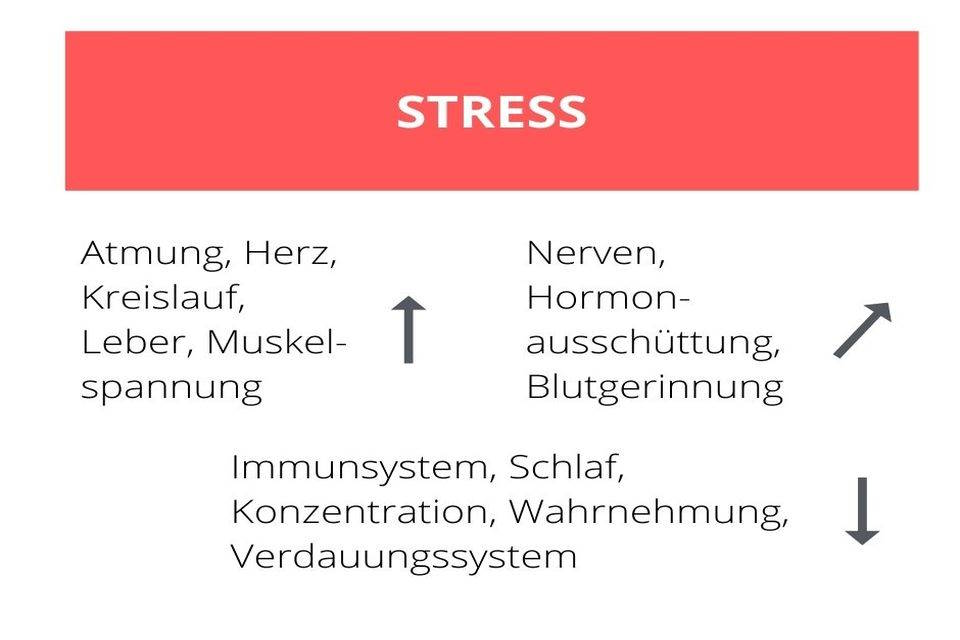Was ist eigentlich Stress?
